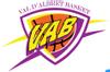 Logo de VAL D'ALBRET BASKET