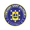 Logo de CHEVIGNY SAINT SAUVEUR FOOTBALL