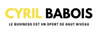 Logo de CYRIL BABOIS CONSULTING & TRAINING